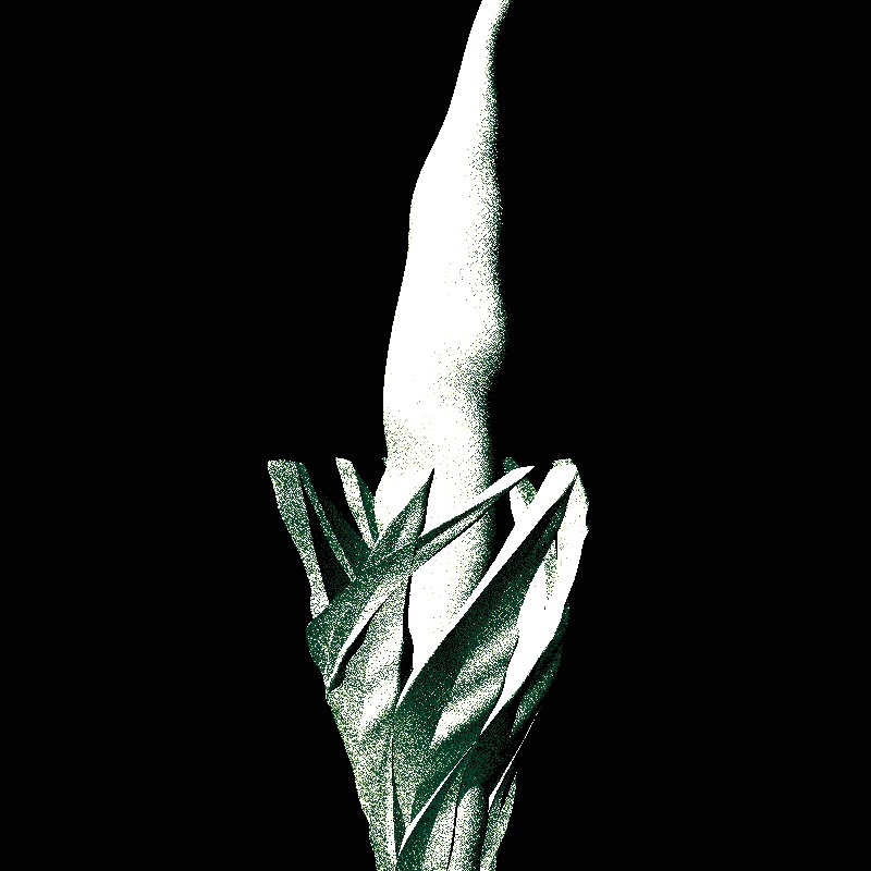 Genuary 32nd - Plantae #18