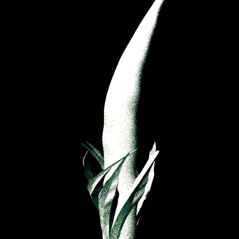 Genuary 32nd - Plantae #21