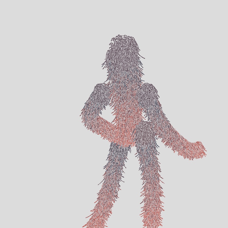 Hairy Thing - Model