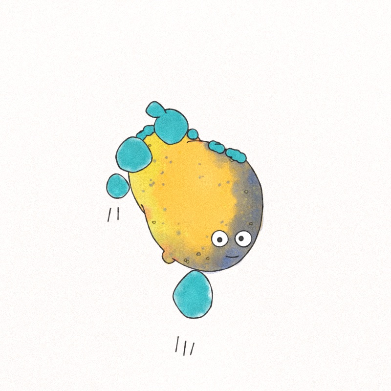 Pobbles #74