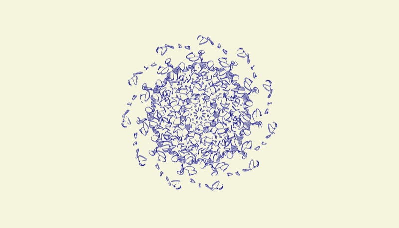 Bunch