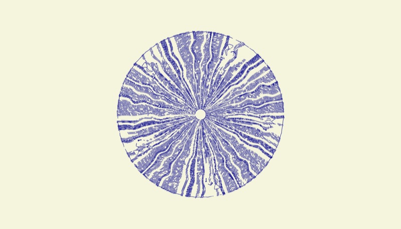 plasma