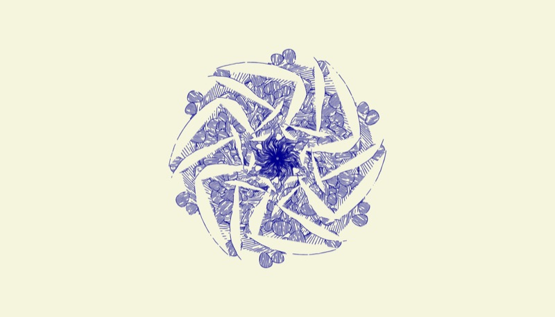 arthropod
