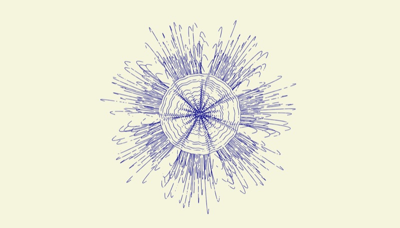 mitosis
