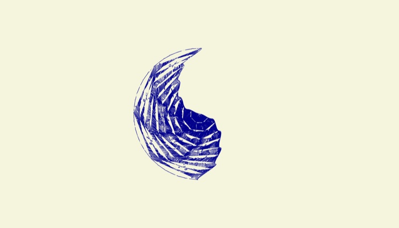 claw