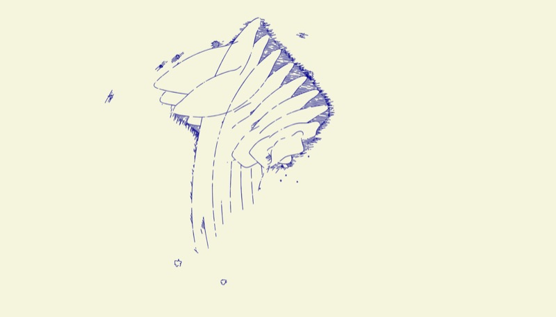 Sacrum